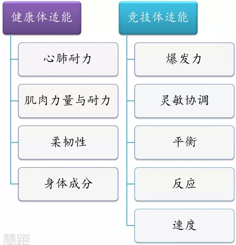 哪里可以找到适合篮球运动员的放松方法?_1